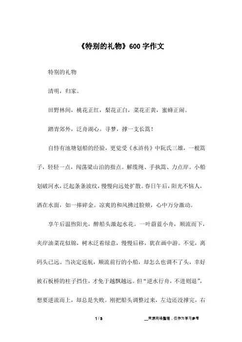 《特别的礼物》600字作文