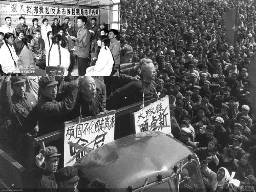 白色鸟