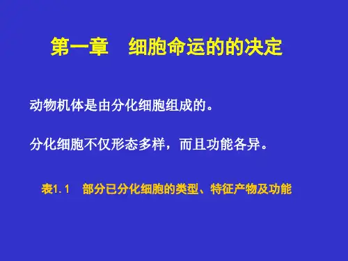 一篇发育生物学基本原理精品PPT课件