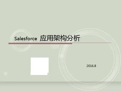 Salesforce应用架构分析ppt课件