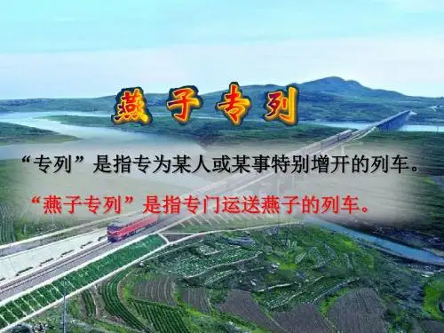 燕子专列