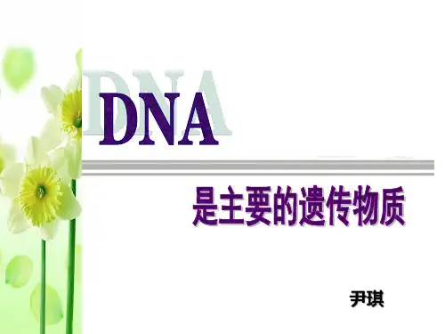 DNA是主要的遗传物质(一轮复习)