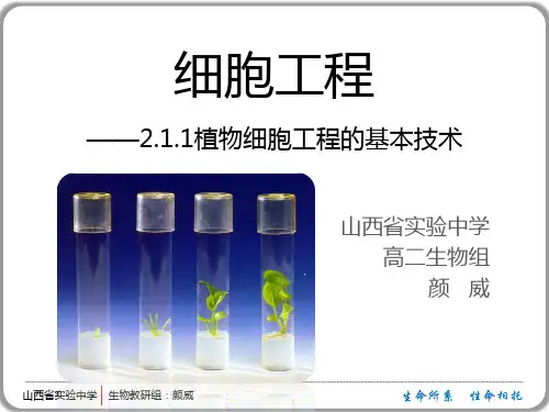 2.1.1植物细胞工程的基本技术