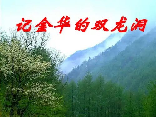 记金华的双龙洞2