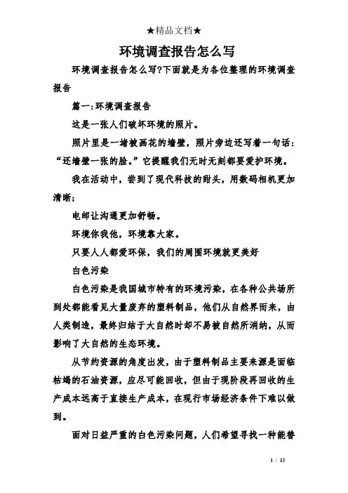 环境调查报告