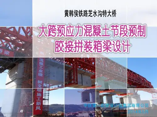 大跨预应力混凝土节段预制胶接拼装箱梁设计共43页文档