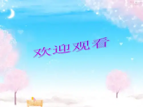 研学报告