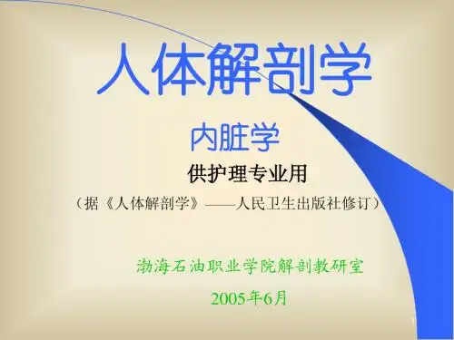 解剖学ppt
