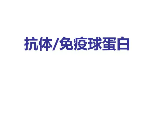 【医学免疫学知识学习】_抗体免疫球蛋白