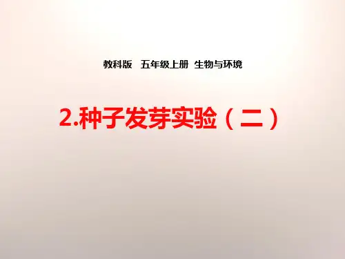 种子发芽实验(二)-生物与环境ppt上课用