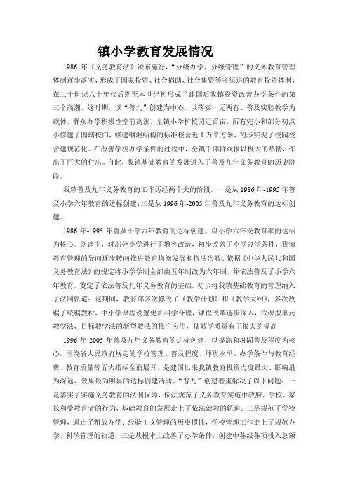 镇小学教育发展情况