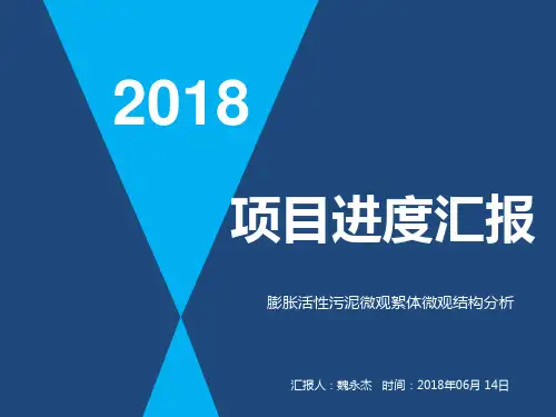 项目进度汇报