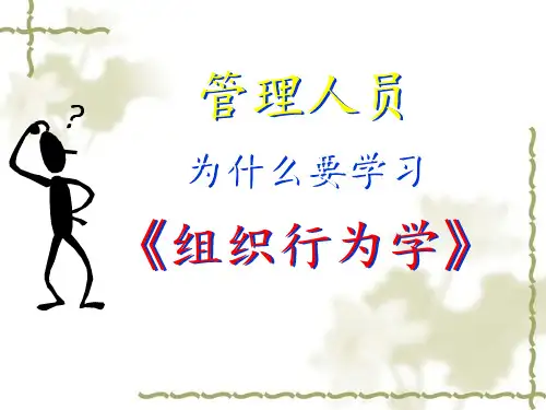 组织行为学概述15