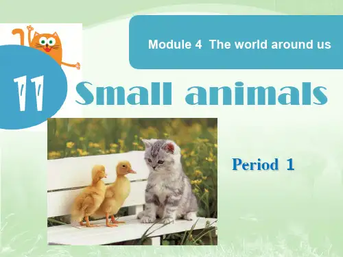 沪教版三年级英语上册Unit 11《Small animals》课件