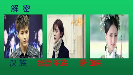 人教版七年级历史上册课件 第19课 北魏政治和北方民族大交融