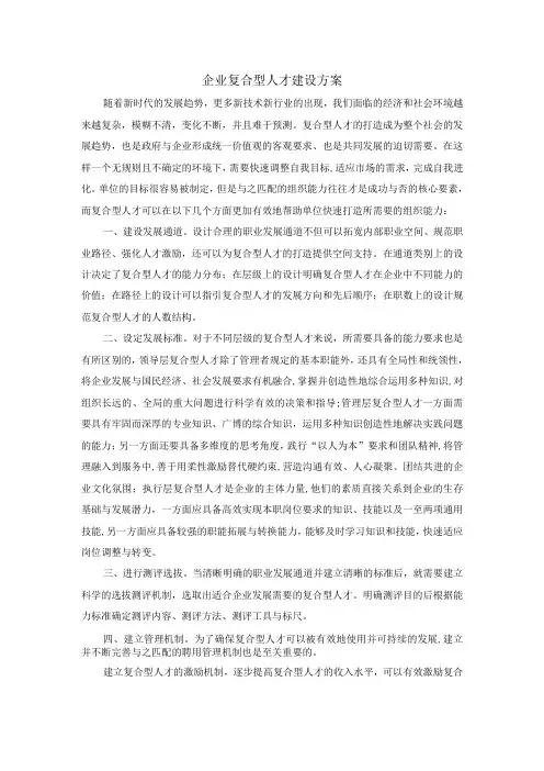 企业复合型人才建设方案