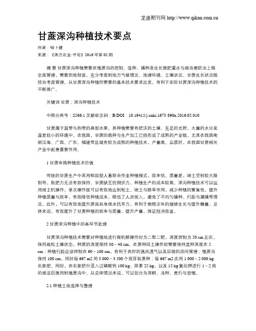 甘蔗深沟种植技术要点