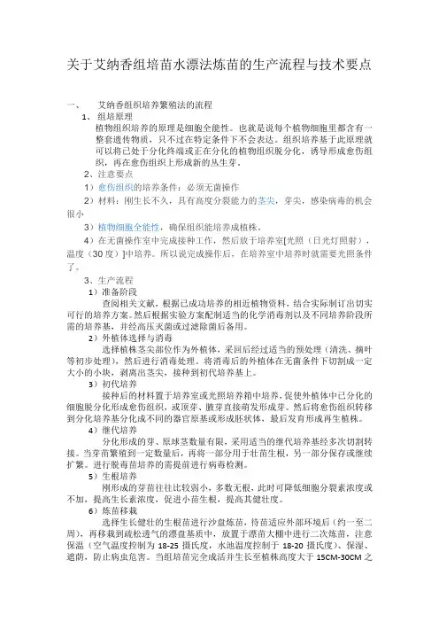 关于艾纳香组培苗水漂法炼苗的生产流程及技术要点