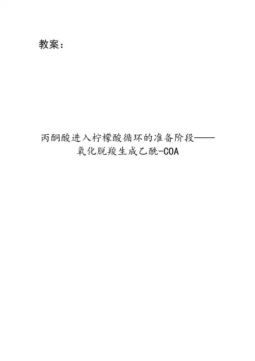 糖酵解教案正式(打印)