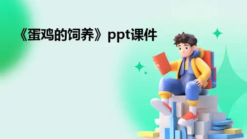 《蛋鸡的饲养》课件