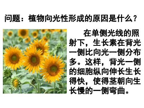 生长素的生理作用