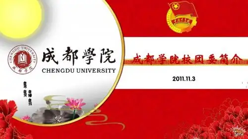 【成都学院校团委】简介