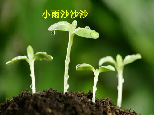 人教版小学音乐一年级下册 小雨沙沙沙课件 (简谱)名师教学课件