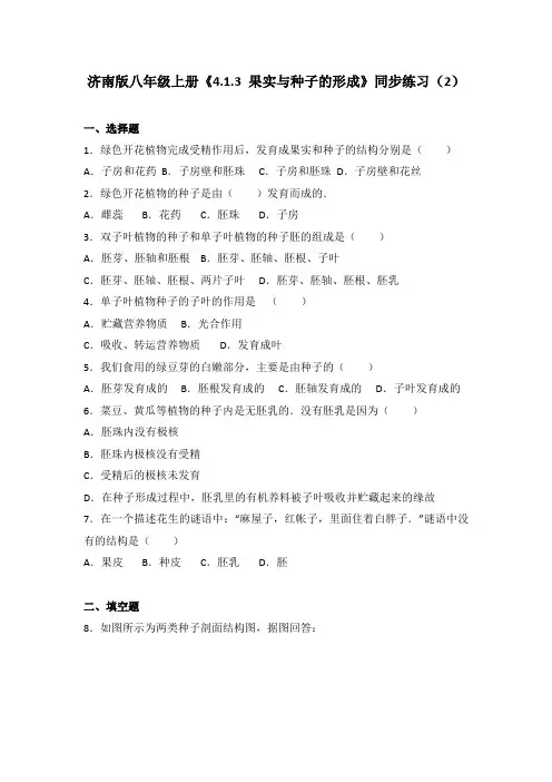 济南版生物八上《4.1.3 果实与种子的形成》同步练习(2)