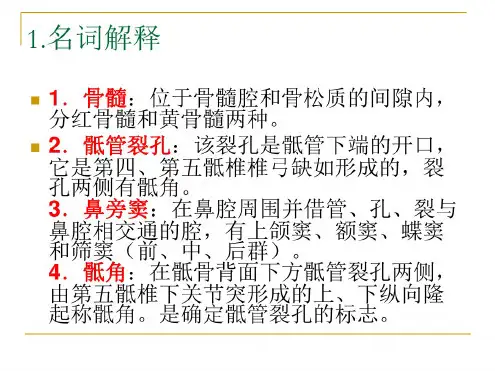 解剖学练习题解