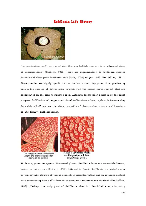 2014-2015学年高中英语 参考阅读 Rafflesia Life History素材 新人教版选修9