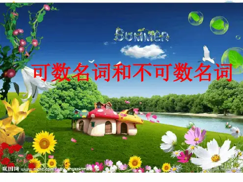 可数名词和不可数名词课堂
