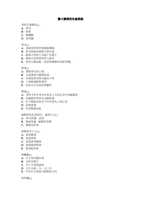 解剖04-(8)男性生殖系统