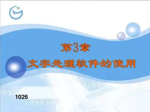 第3章文字处理软件的使用-PPT精品