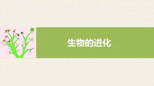 第7章 生物的进化 复习