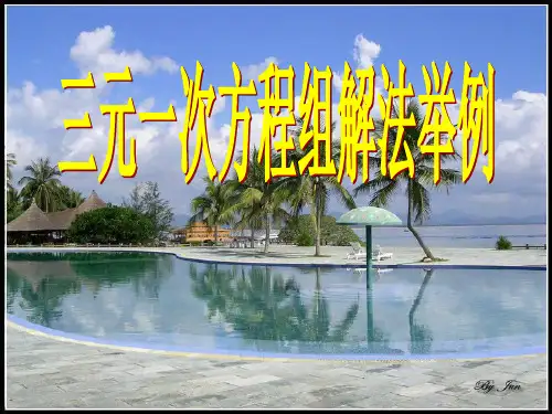 新人教版七年级数学下册《八章 二元一次方程组 一次方程组的古今表示及解法》课件_6