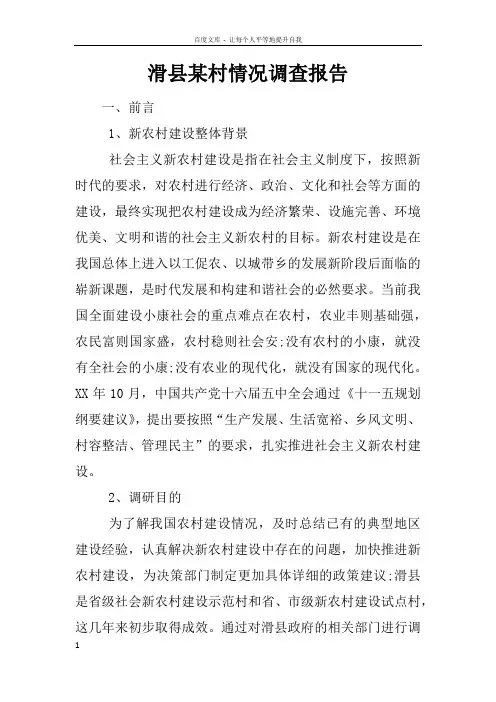 滑县某村情况调查报告