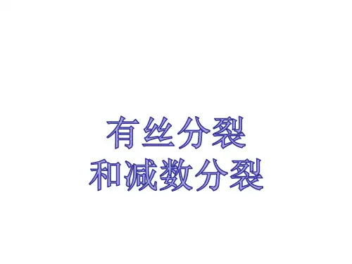 2020届高考生物二轮有丝分裂和减数分裂考点突破一遍过(共60张PPT)
