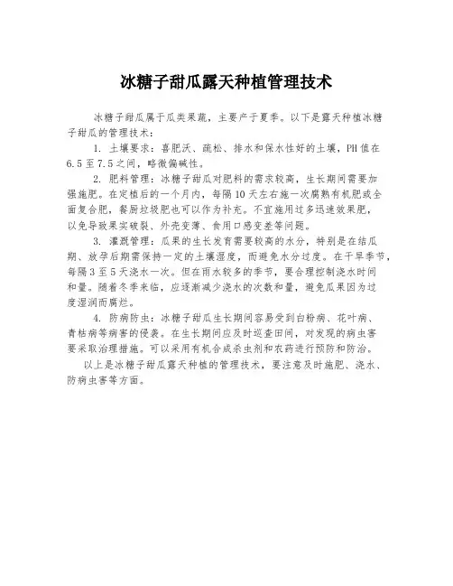 冰糖子甜瓜露天种植管理技术