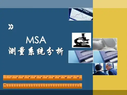 MSA培训(完整版)
