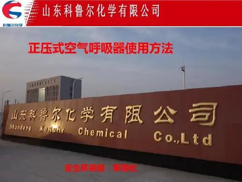 空气呼吸器的工作原理共28页文档