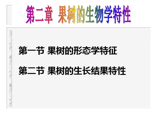 2果树生长、生物学特性