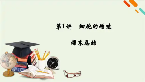 新高考2021高考生物一轮复习第4单元细胞的生命历程第1讲细胞的增殖课末总结课件新人教版