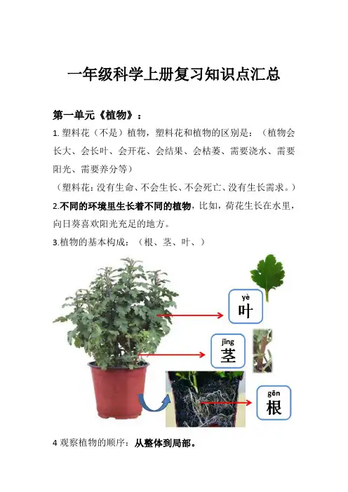 一年级上册科学期末复习知识点汇总