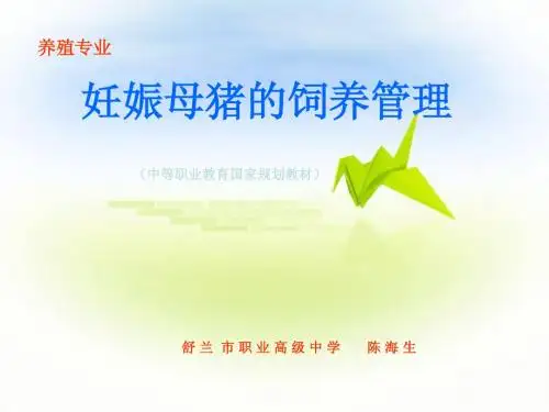 妊娠母猪的饲养管理