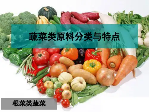 根菜类蔬菜(课堂PPT)