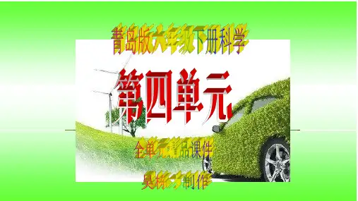 最新青岛版六年级下册科学第四单元全单元精品课件