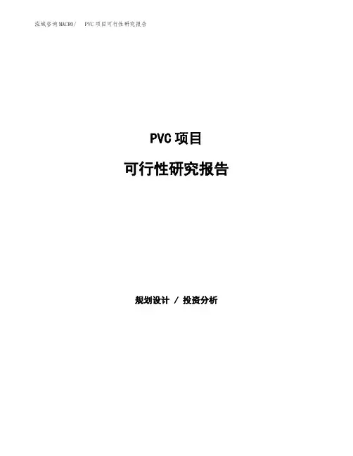 PVC项目可行性研究报告发改委立项模板 (1)