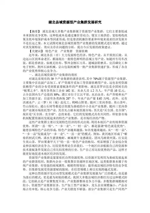 湖北县域资源型产业集群发展研究