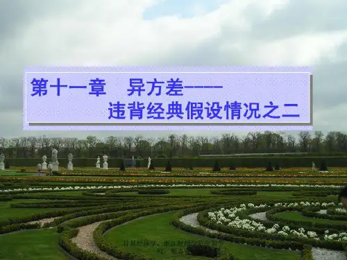 计量经济学第十讲39页PPT