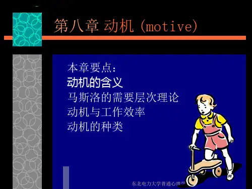 第八章 动机(motive)